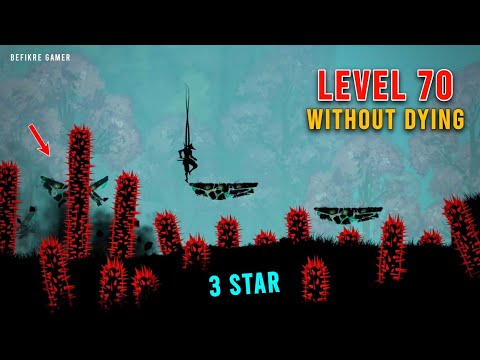 Ninja Arashi 2 Level 70