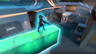 New Pearl Sage Walls & Orbs (2023)