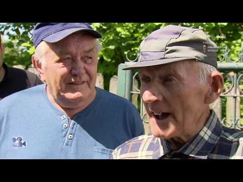 Tylko zwierząt żal - Sprawa dla reportera