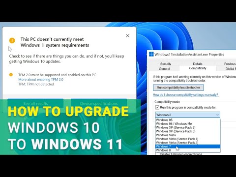  How to Recover Data After Resetting Windows 11