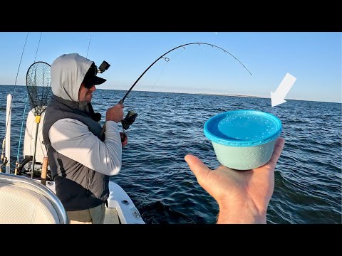 I'M BACK! First Time Using THIS Bait To Catch THESE Fish! **Surprising Results!**