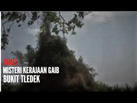 Kerajaan Gaib BUKIT TLEDEK  || Unnes || #Semarang