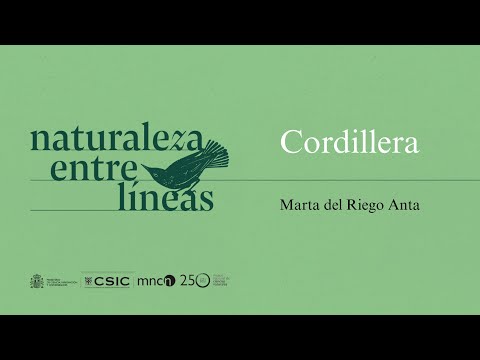 Lobo y oso, dos emblemas ibéricos de desigual reputación