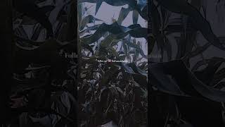 Download lagu story wa petani terbaru mp3