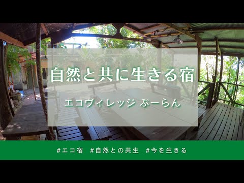 【父島 宿めぐりツアー#2】エコヴィレッジぷーらん（字幕あり）