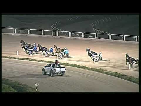 Trotto 23/02/2020 - 8ª corsa