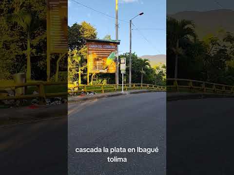 Ruta cascada la plata en Ibagué tolima #paisajesextremos #turismo #vistashermosas #naturaleza