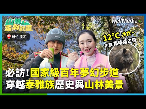 全台首條被認定的國家級步道！踏上霞喀羅古道，穿越泰雅族歷史與壯麗山林美景【山林走跳計畫】EP6 (part1)