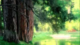 Download lagu Michiru Oshima - Title mp3 Download lagu Michiru Oshima - Title mp3
