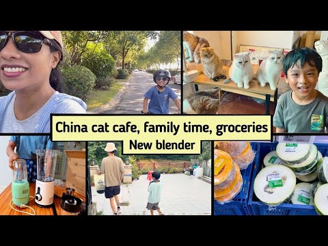 First time cat cafe in China | Odin's back | Retired my old blender