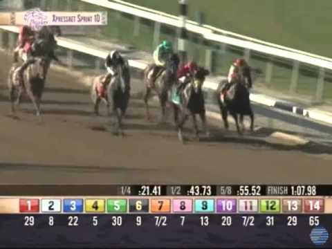 2012 Breeders' Cup Sprint