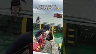 Download lagu PENUH RESIKO!PROSES LEPAS TALI KAPAL TONGKANG #pelaut #kapal #kapallaut #pelayaran #pelautindonesia mp3