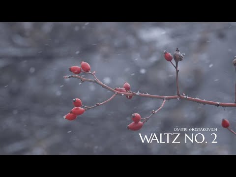 Dmitri Shostakovich - Waltz No 2