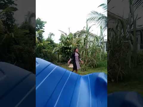 Alamak  marsya sedih