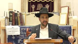 הרב מאיר אליהו | תכתוב צוואה 😱 | יזדים - ה׳תשפ״ה (הרב מאיר אליהו) - התמונה מוצגת ישירות מתוך אתר האינטרנט יוטיוב. זכויות היוצרים בתמונה שייכות ליוצרה. קישור קרדיט למקור התוכן נמצא בתוך דף הסרטון