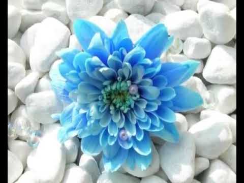 El Valor Que No Se Ve - Laura Pausini