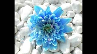 LAURA PAUSINI - EL VALOR QUE NO SE VE (TRADUÇÃO)