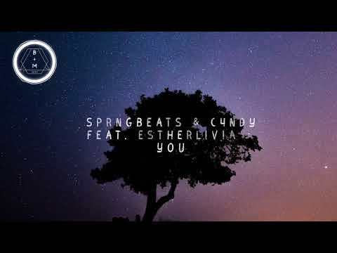 SPRNGBEATS & C4NDY feat. Estherlivia - You