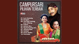 Download lagu Lare Gunung mp3