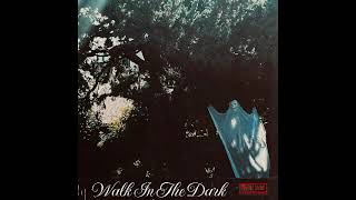 Walk in the Dark - Ryan Adams live