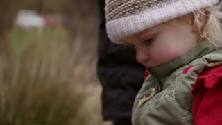 Porthkerry Country Park