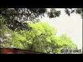 Fresh elections in Delhi as BJP says it cant form.