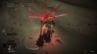 [法環] 果然NPC戰都很屎