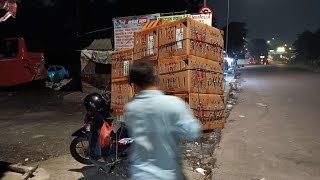 Download lagu Thursday's stock update at Satria Birdshop, there was a large unloading on February 19, 2026 mp3