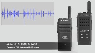 ����� Motorola SL1600