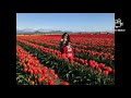 Yashu Bahut Khoobsurat Ghazal