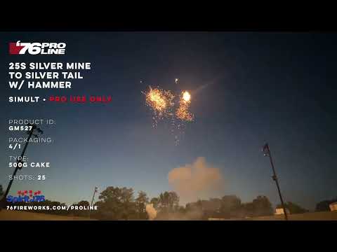 GM527 25s Silver Mine to Silver Tail with Hammer (Simult) - '76 Pro Line PRO USE