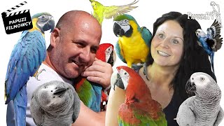 Living With Macaws and African Grey Parrots - We Visit Ursula and Raphael’s “Madhouse”