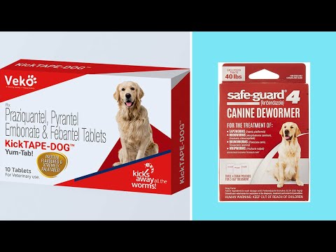 5 Best Dog Dewormers Review in 2022 | Don't Buy Before Watching This