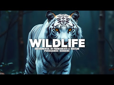 [Free] Sad Melodic Piano Type Beat "Wildlife" Instru Trap Lourd Instrumental Melancolique 2025