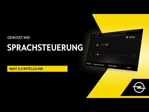 Navi 5.0 IntelliLink | Sprachsteuerung | Gewusst wie!