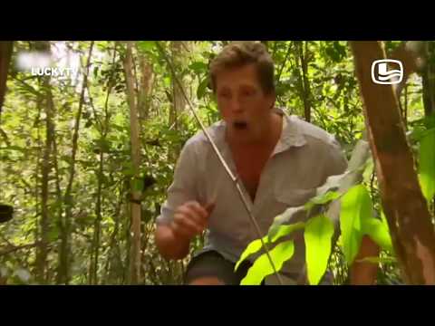 Freek Vonk - Through the Jungle | LUCKYTV (2016)