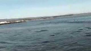 Randband Mandarin -- Bring You Happiness