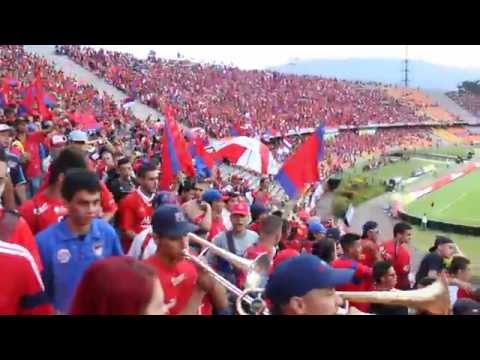 "DIM 1 Alianza 2 / Entra La Murga Del Indigente" Barra: Rexixtenxia Norte • Club: Independiente Medellín • País: Colombia