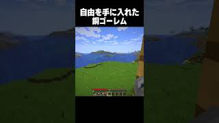 自由を手に入れるゴーレム #minecraft