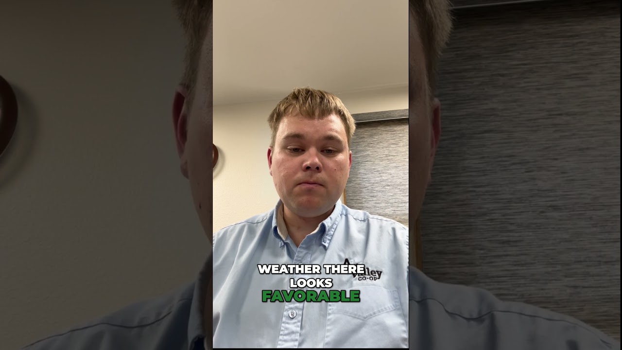 Soybean Export Outlook