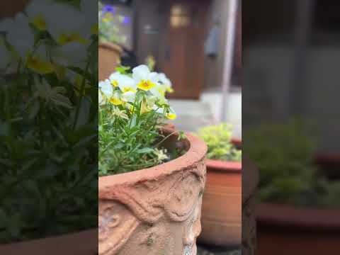 【季節と暮らす家】滋賀・近江八幡 O様邸