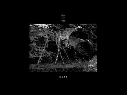 Skinliv - "De som lever under Jorden"