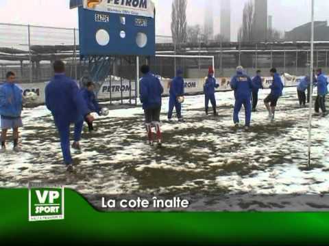 La cote inalte