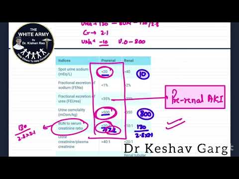 Pre-renal Vs Renal Acute Kidney Injury