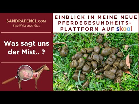 🐴 Einblick in meine neue Pferdegesundheits-Plattform - Mist-Analyse 💩🔎
