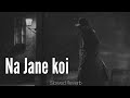 Na Jaane Koi Kaisi Hai Yeh Zindgani Slowed And Reverb Songs Lo Fi Sad Songs Bhigi Bhigi