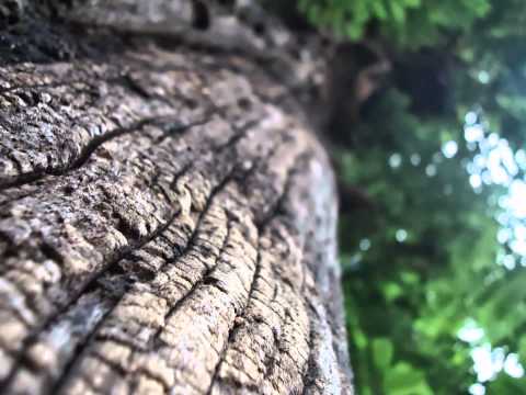 Sample Photos , Sony DSC-w610