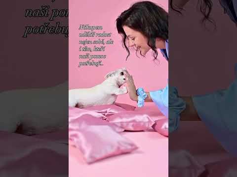 RZ-radost zvířatům: lokální a kvalitní móda, která pomáhá!