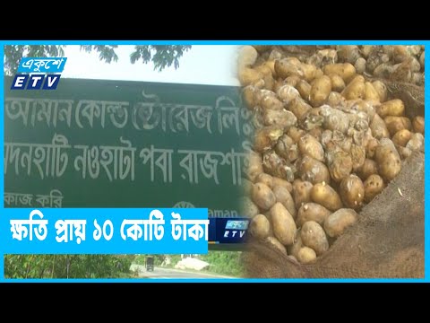 রাজশাহীর একটি হিমাগারে পচে গেছে দেড় লাখ বস্তা আলু