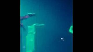 babyshambles Unbilotitled